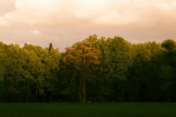 La vie après la leucémie: défis et opportunités