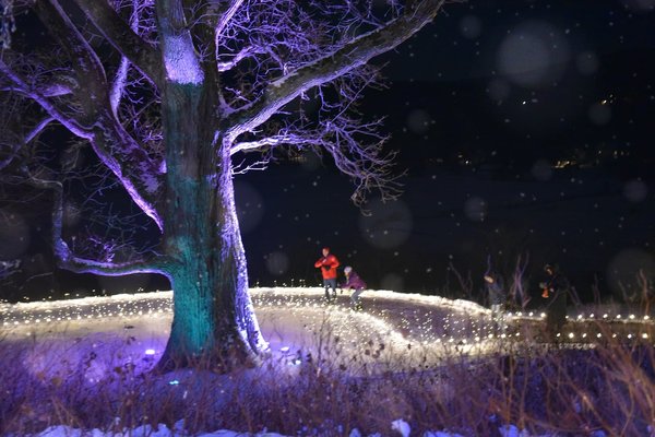 Comment les interventions en thérapie par le chant peuvent-elles aider les personnes atteintes de troubles de la communication?